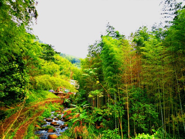 广东南昆山森林夏季SPA之旅水上乐园+山泉水泳池