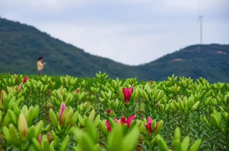 中秋节，国庆节快到了！提供半汤温泉养生度假区旅游攻略